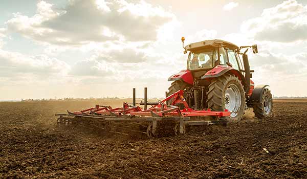 CONSENSE | Land- & Forstwirtschaft